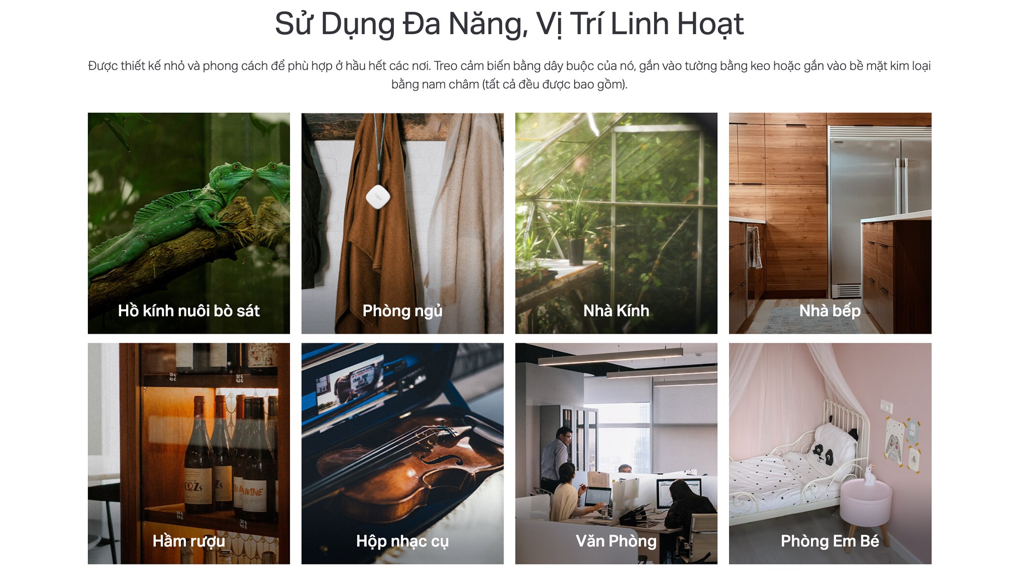 Cảm biến nhiệt độ và đổ ẩm thông minh TP-Link Tapo T310