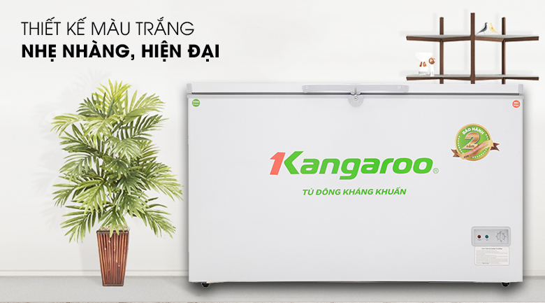 Tủ đông Kangaroo 284 lít KG 418C2