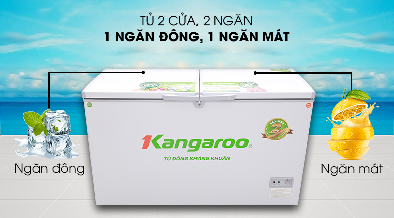 Tủ đông Kangaroo 284 lít KG 418C2