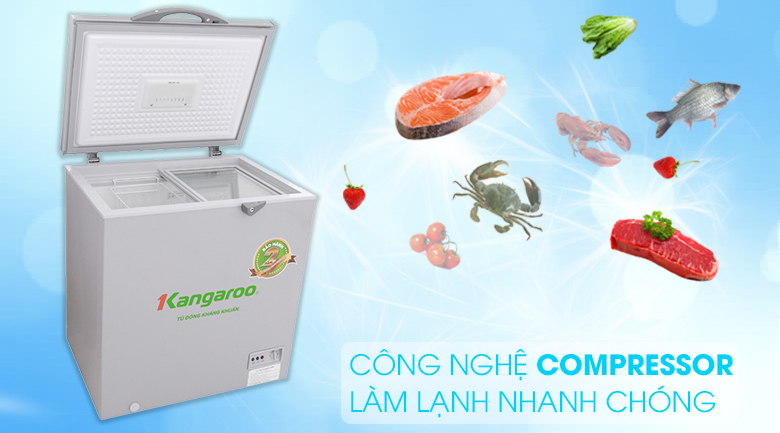 Tủ đông Kangaroo 140 lít KG 235VC1