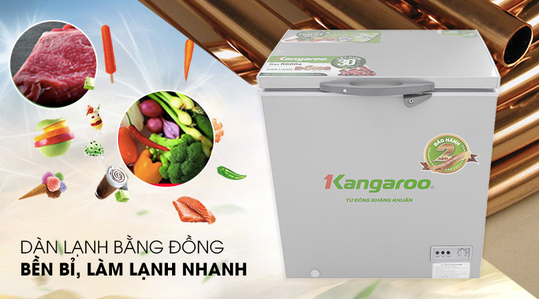 Tủ đông Kangaroo 140 lít KG 235VC1