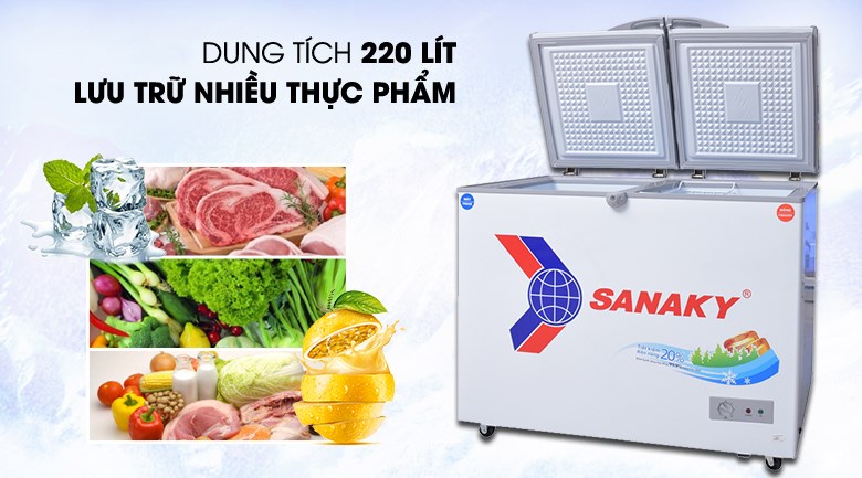 Tủ đông Sanaky 220 lít VH-2899W1
