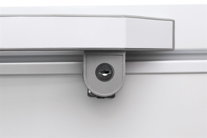 Tủ đông Alaska 300 lít BD-300 Màu Trắng