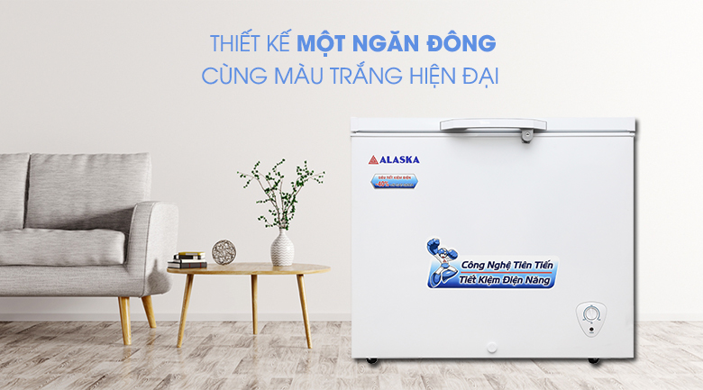 Thiết kế một ngăn đông - Tủ đông Alaska 300 lít BD-300