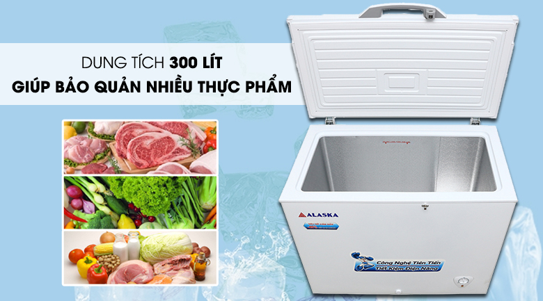 Dung tích 300 lít - Tủ đông Alaska 300 lít BD-300