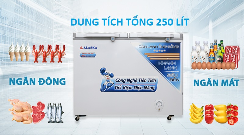 Thiết kế - Tủ đông Alaska 250 lít BCD-3068C