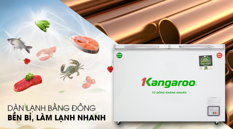 Tủ đông Kangaroo Inverter 252 lít KG 388NC2