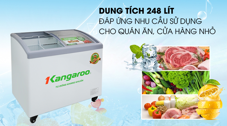 Tủ đông Kangaroo 248 lít KG308C1 - Dung tích 248 lít, phù hợp với hộ gia đình kinh doanh quán ăn, cửa hàng nhỏ