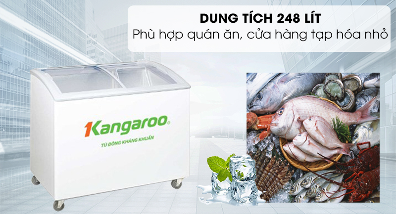 Tủ đông Kangaroo 248 lít KG308C1-Dung tích 248 lít, phù hợp với hộ gia đình kinh doanh quán ăn, cửa hàng nhỏ Tủ đông Kangaroo 248 lít KG308C1-Dung tích 248 lít, phù hợp với hộ gia đình kinh doanh quán ăn, cửa hàng nhỏ