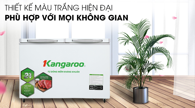 <p>&nbsp;</p>
<div id="eJOY__extension_root" style="all: unset;">&nbsp;</div>