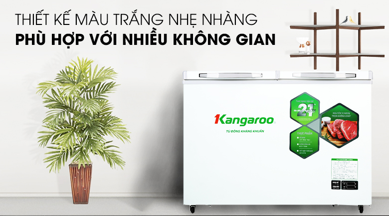 <p>&nbsp;</p>
<div id="eJOY__extension_root" style="all: unset;">&nbsp;</div>