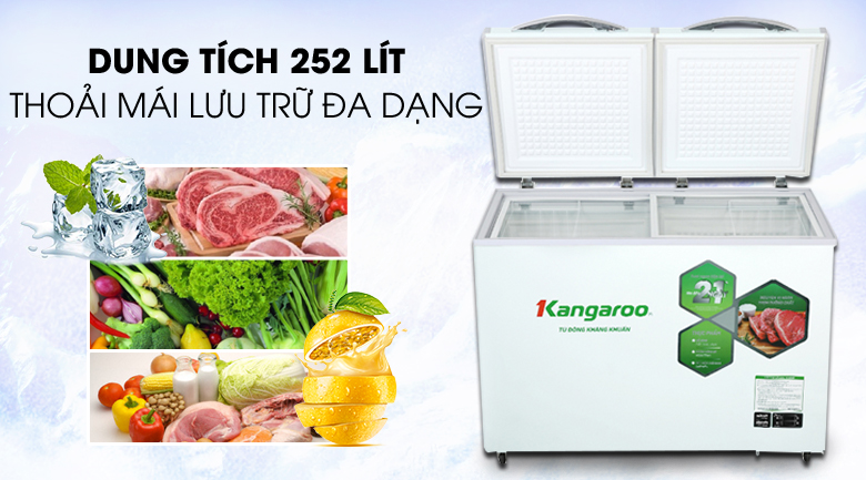 Tủ đông mềm Kangaroo 252 lít KG 400DM2 - Dung tích