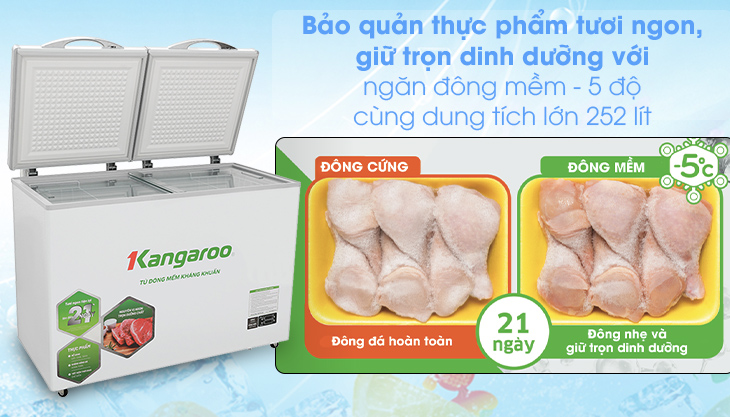 Tủ đông mềm Kangaroo 252 lít KG 408S2