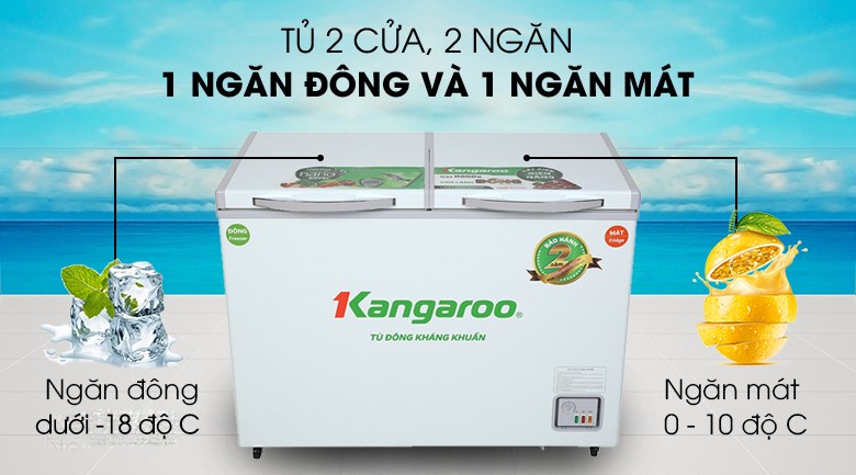 <p>&nbsp;</p>
<div id="eJOY__extension_root" style="all: unset;">&nbsp;</div>