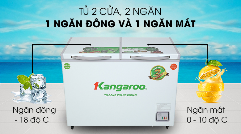 Tủ đông Kangaroo 192 lít KG 266NC2