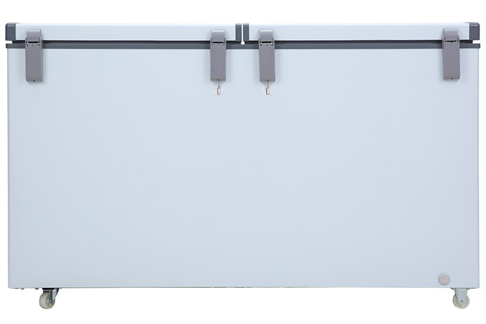 Tủ đông Darling Inverter 360 lít DMF-4799 ASI