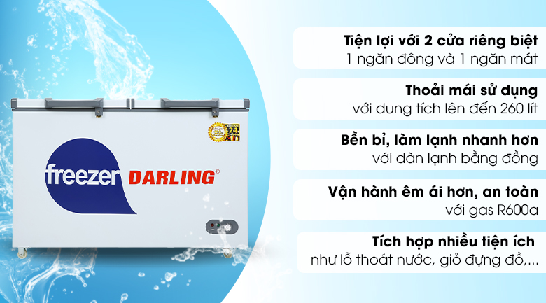 Tủ đông Darling 260 lít DMF-3999 W2