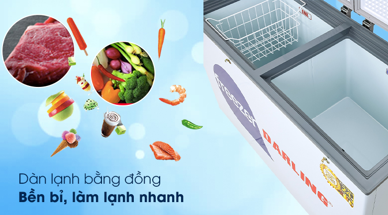 Tủ đông Darling 260 lít DMF-3999 W2