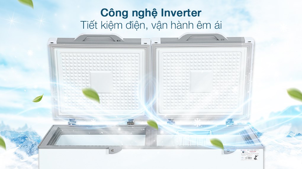Tủ đông Sanaky Inverter 270 lít TD.VH3699A4K