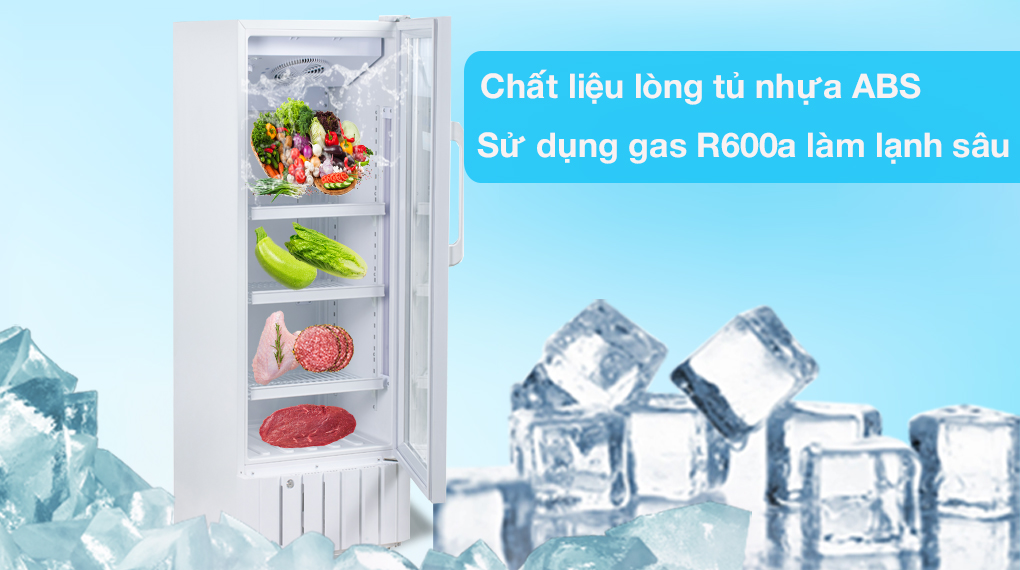 Tủ mát Alaska 270 lít LC 455H - Chất liệu bên trong tủ bằng nhựa ABS, sử dụng gas R600a