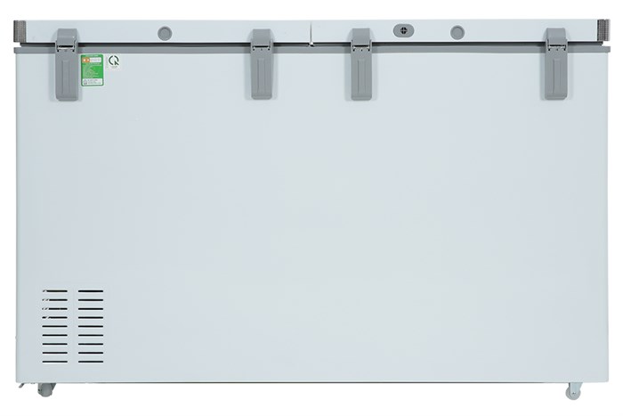 Tủ đông Alaska 312 lít BCD 5068C