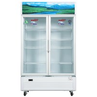 Tủ mát Sanaky 1100 lít VH-1209HP