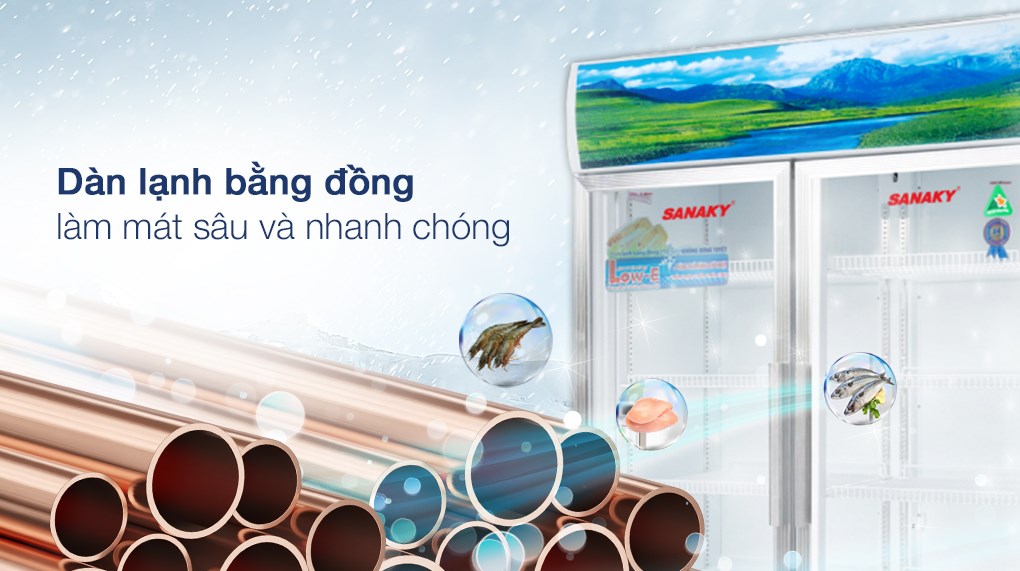 Tủ mát Sanaky 500 lít VH-6009HP