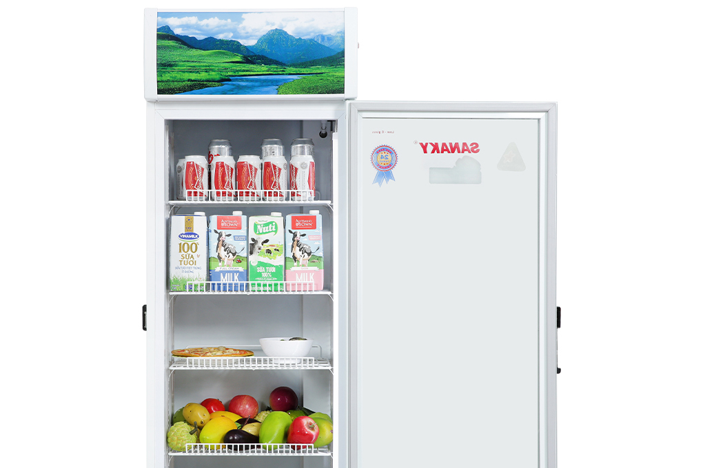 Tủ mát Sanaky 240 lít VH-2589K - 5