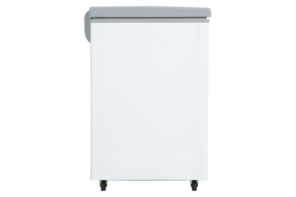 Tủ đông Sanaky Inverter 220 lít VH-2899W3 Màu Trắng
