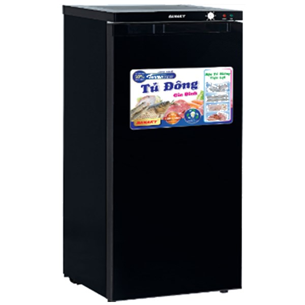 Tủ đông Sanaky Inverter 118 lít TD.VH160K3