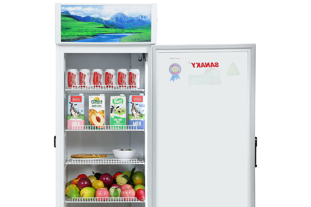 Tủ mát Sanaky 300 lít VH-3089K - 5