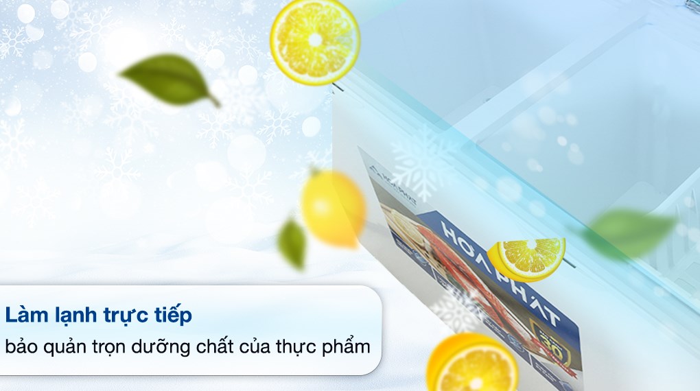 Tủ đông Hòa Phát 271 Lít HPF BD6271