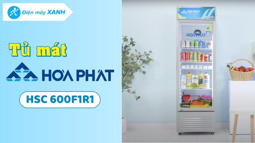 Tủ mát Hòa Phát 242 Lít HSC 600F1R1