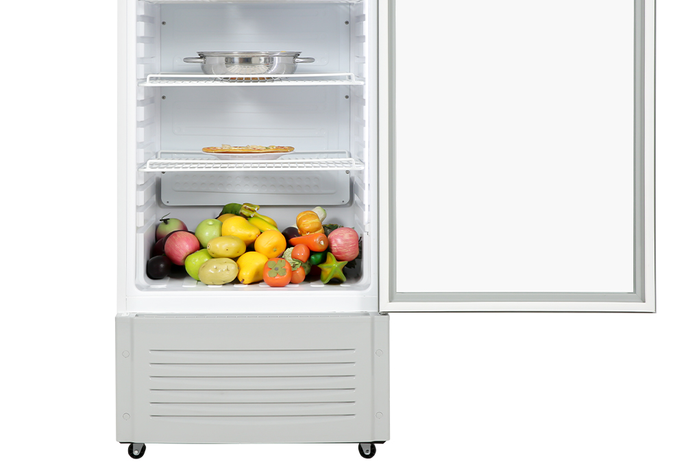 Tủ mát Hòa Phát 280 Lít HSC 700F1R1 Màu Trắng