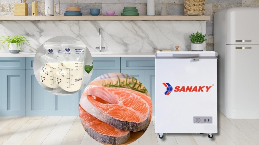 Thiết kế Tủ Đông Sanaky 100 lít VH162HY2