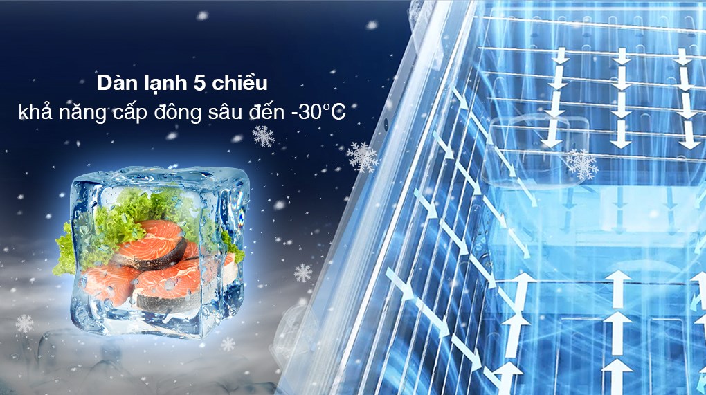 Tủ đông Aqua Inverter 301 lít AQF-C4001E