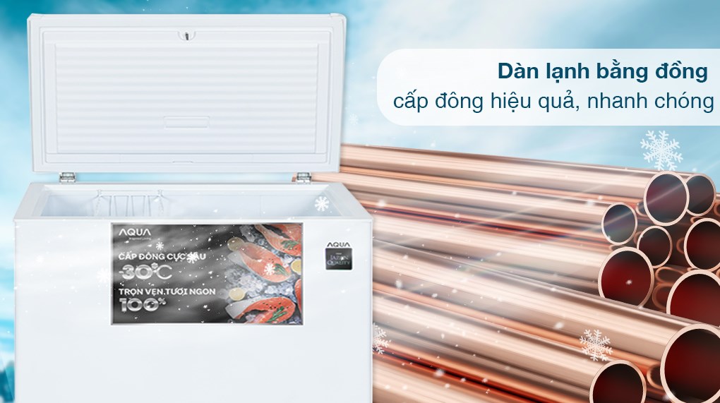 Tủ đông Aqua Inverter 301 lít AQF-C4001E