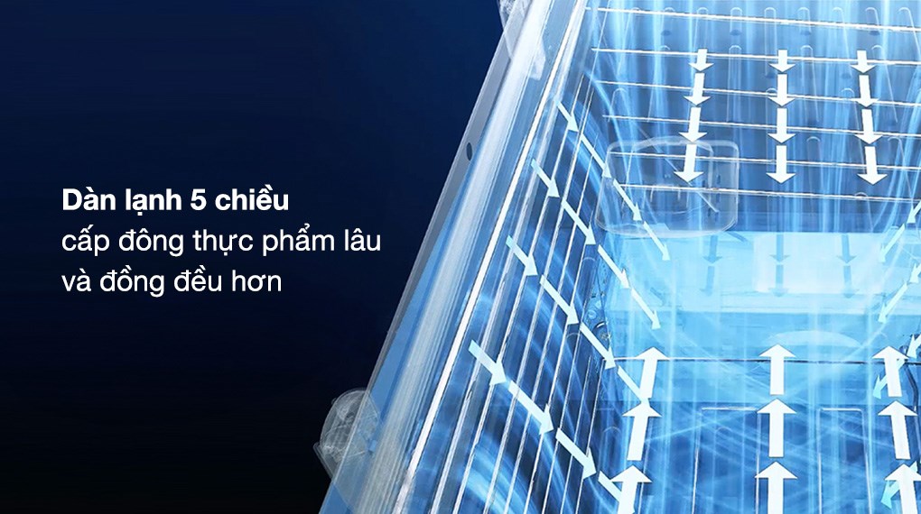 Tủ đông Aqua 365 lít AQF-C5702S