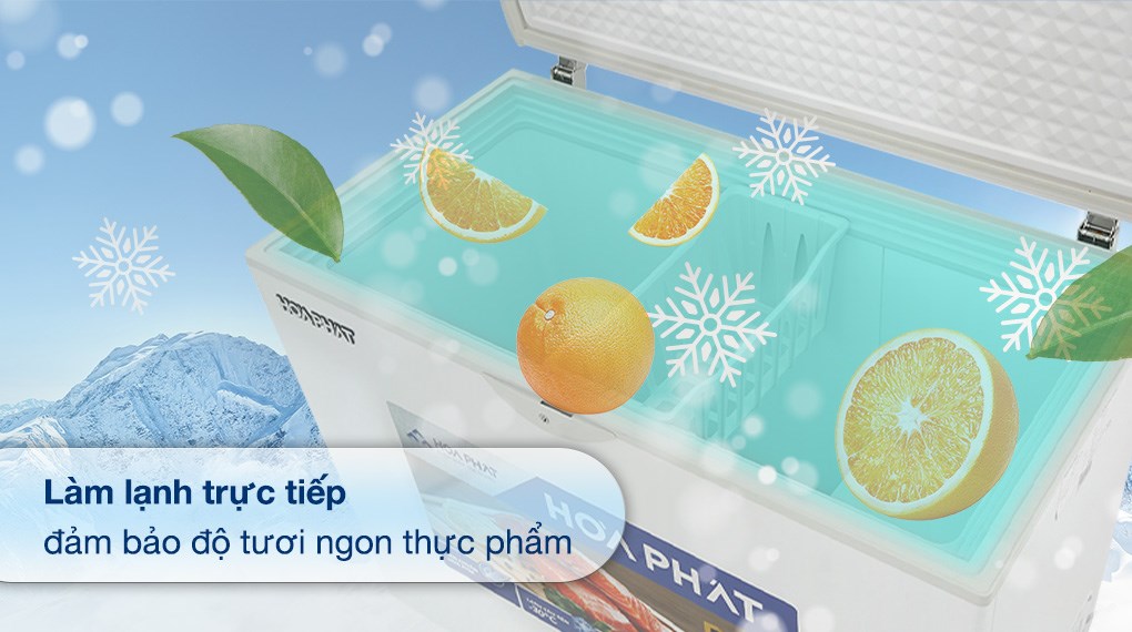 Tủ đông Hòa Phát 252 lít HPF AN6252