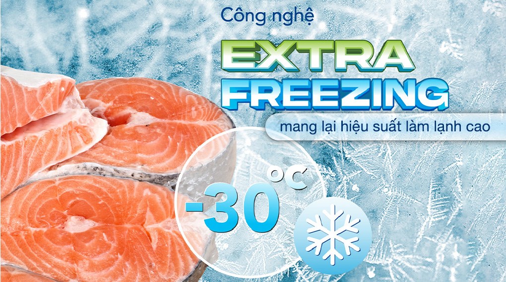 Tủ đông Hòa Phát 252 lít HPF AN6252