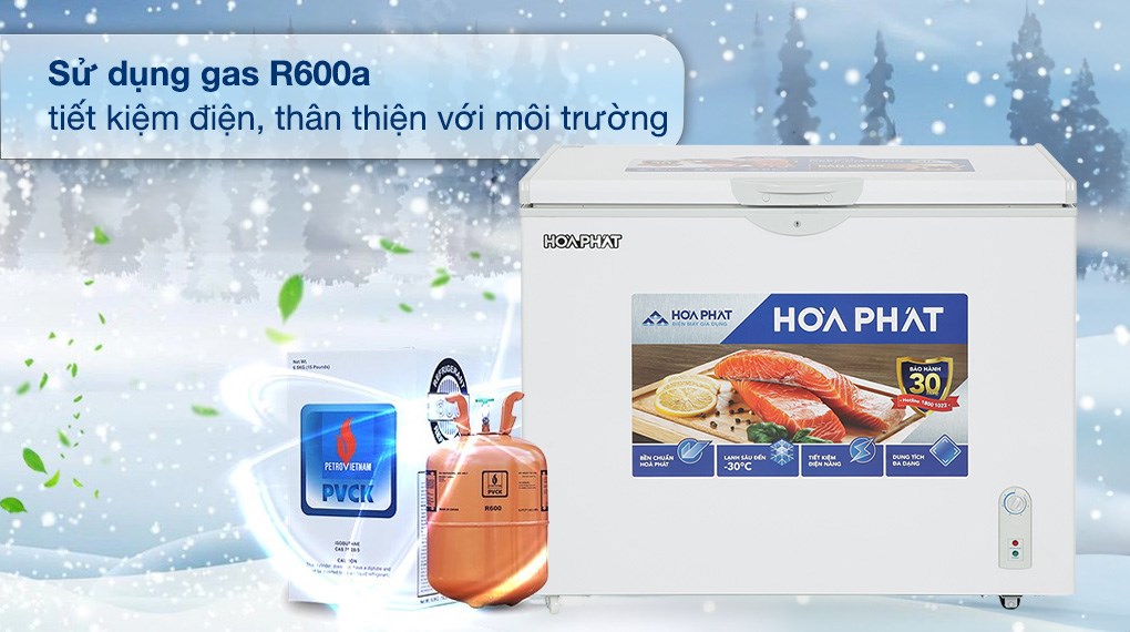Tủ đông Hòa Phát 252 lít HPF AN6252