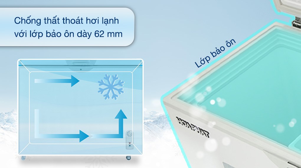 Tủ đông Hòa Phát 252 lít HPF AN6252