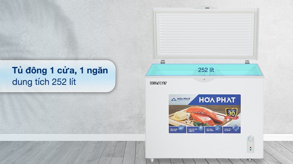 Tủ đông Hòa Phát 252 lít HPF AN6252