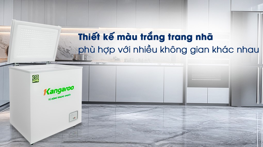 Tủ đông Kangaroo 90 lít KG090C1N