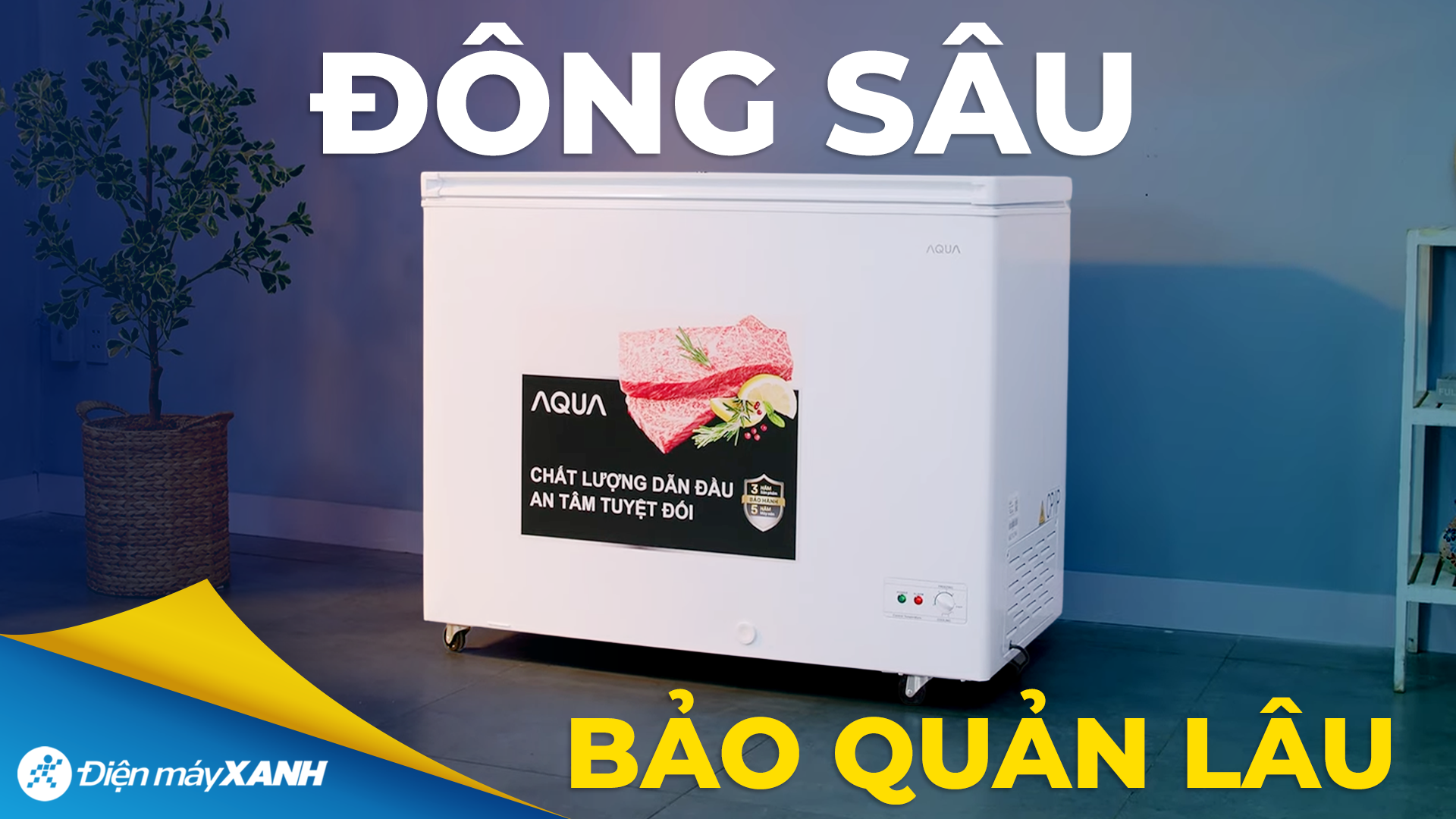 Tủ đông Aqua Inverter 301 lít AQF-C4001EN