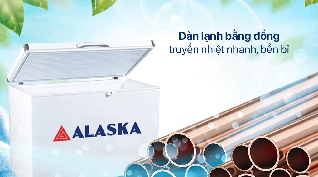 Tủ đông Alaska 355 lít BD-400C