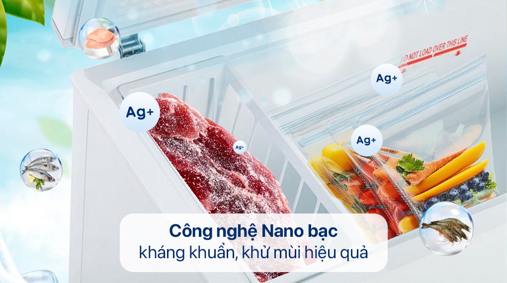 Tủ đông Alaska 355 lít BD-400C