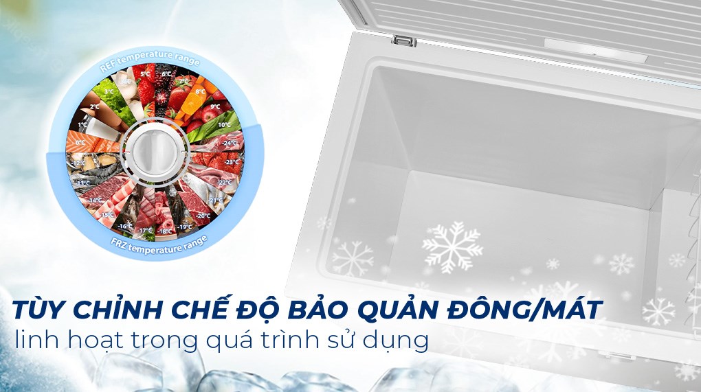 Tủ đông Toshiba Inverter 293 lít GR-RC390CM-PMV(01)