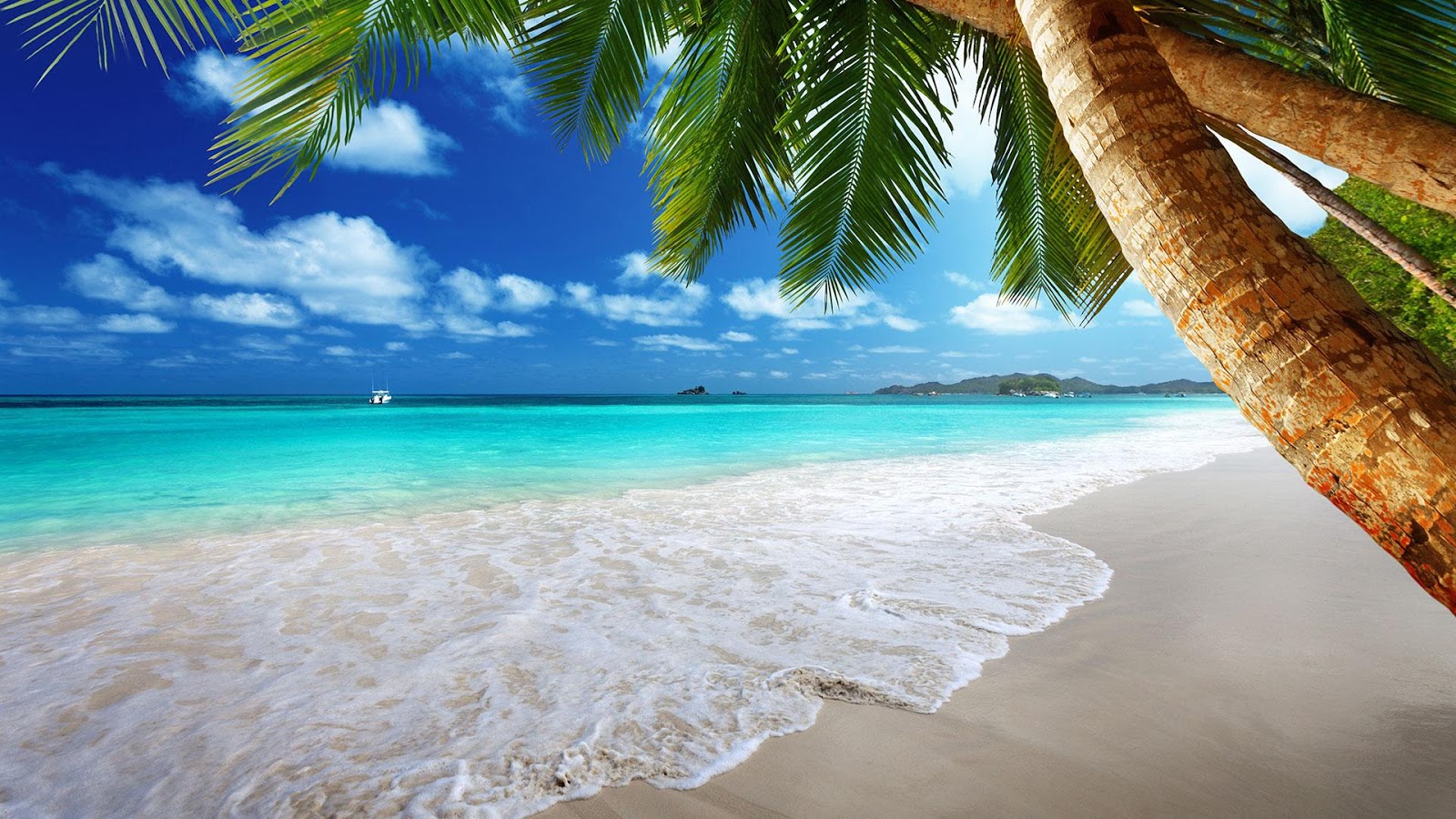 Cập nhật với hơn 96 hình nền bãi biển đẹp cho máy tính hay nhất  Tin Học  Vui