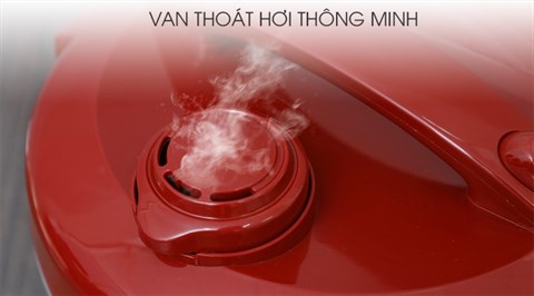 Nồi cơm nắp gài Delites NCG1201